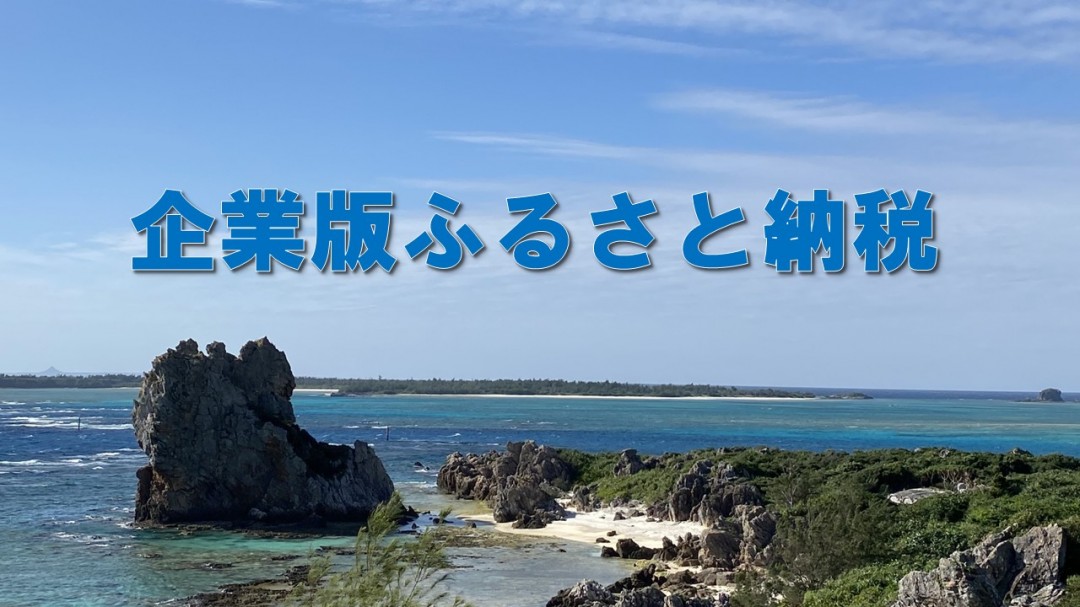 企業版ふるさと納税